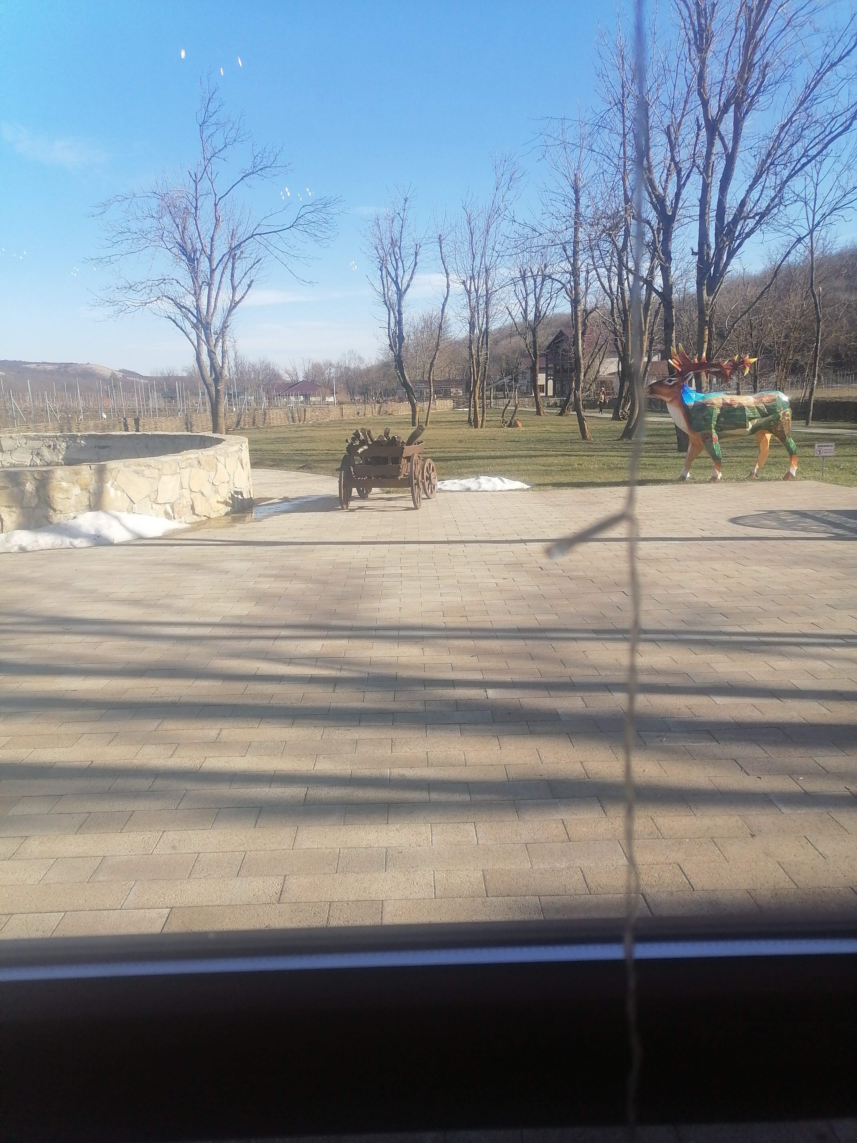 Фото Оленья ферма