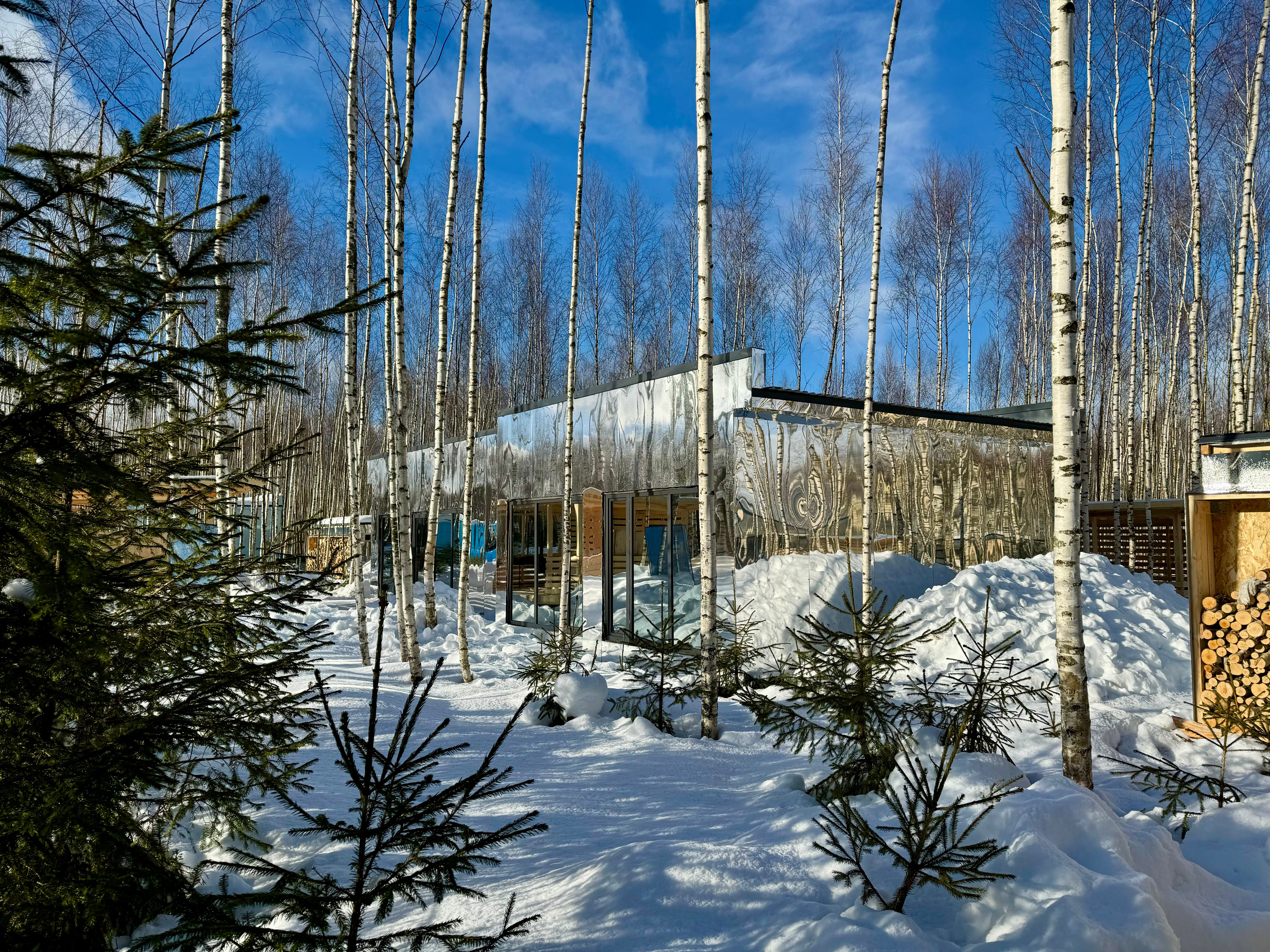 Фото Мы Дома- Зеркальный лес