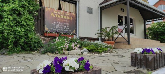 Фото Альпина