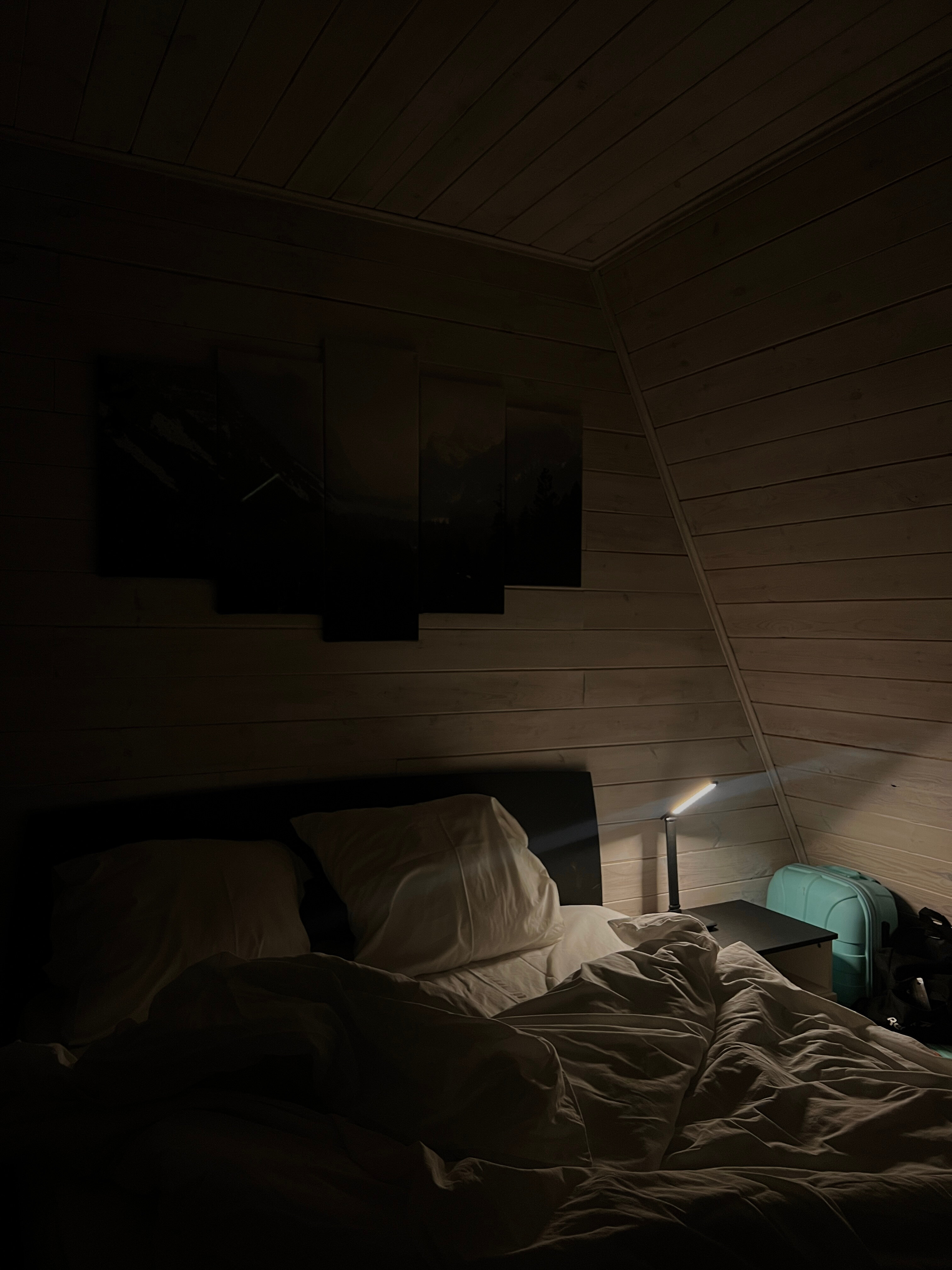 Фото Pine Wood Elbrus