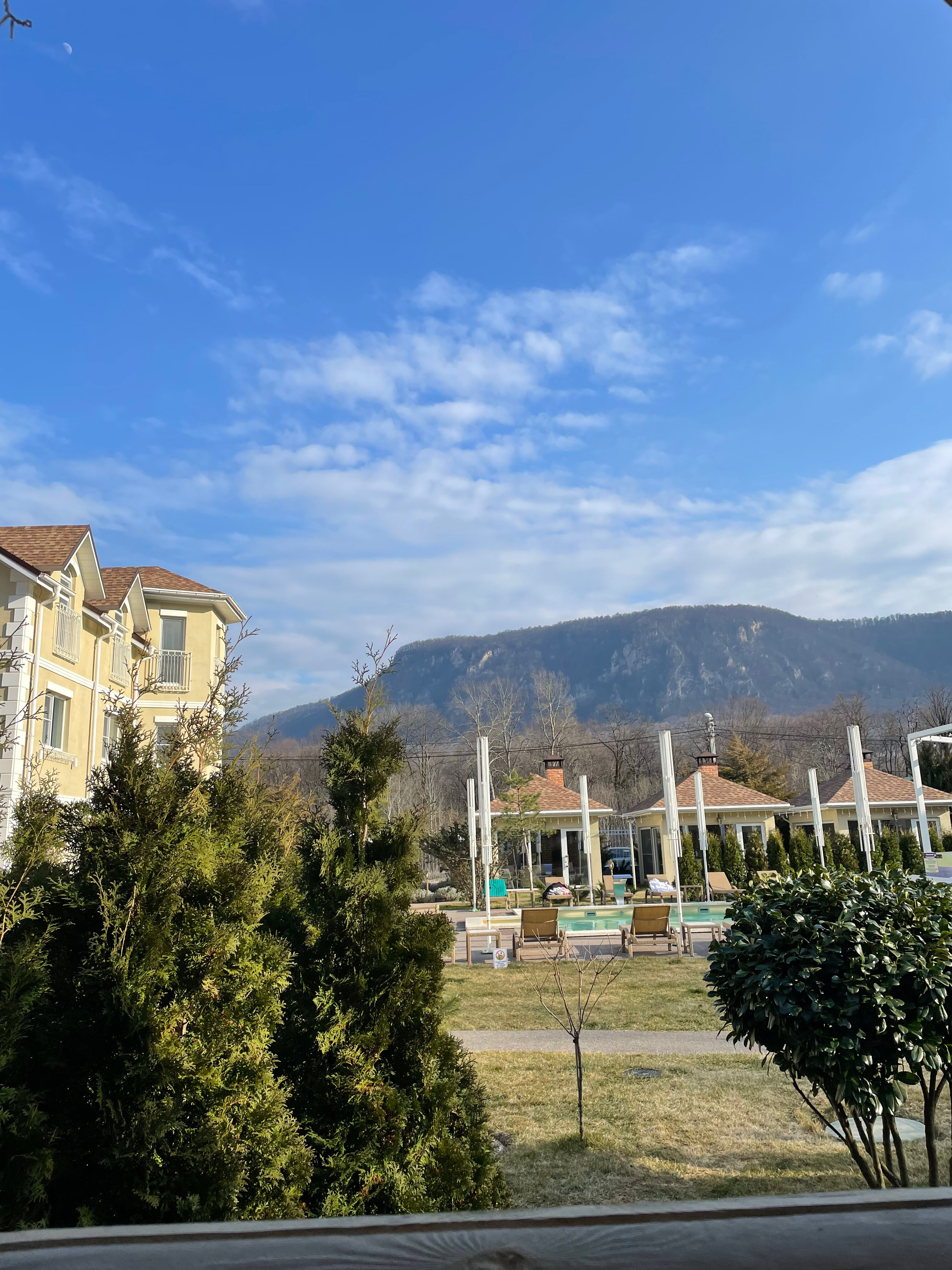 Фото Лаванда