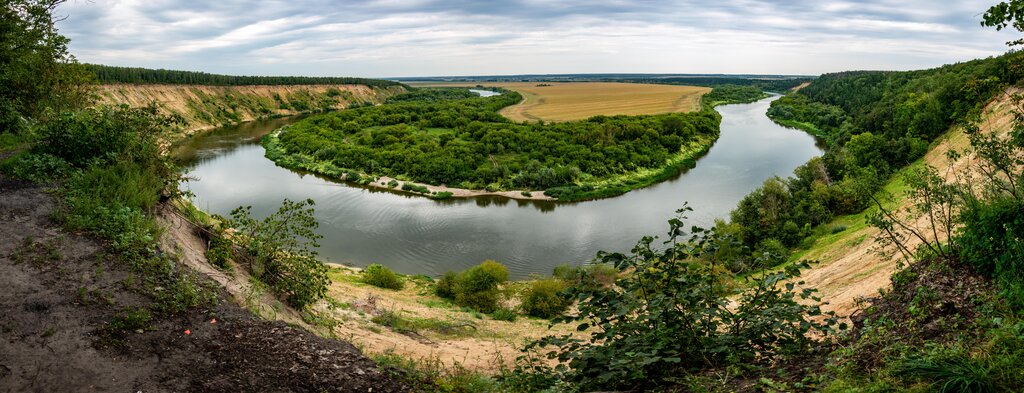 Woodland урочище Кривоборье, Voronezh Oblast, photo