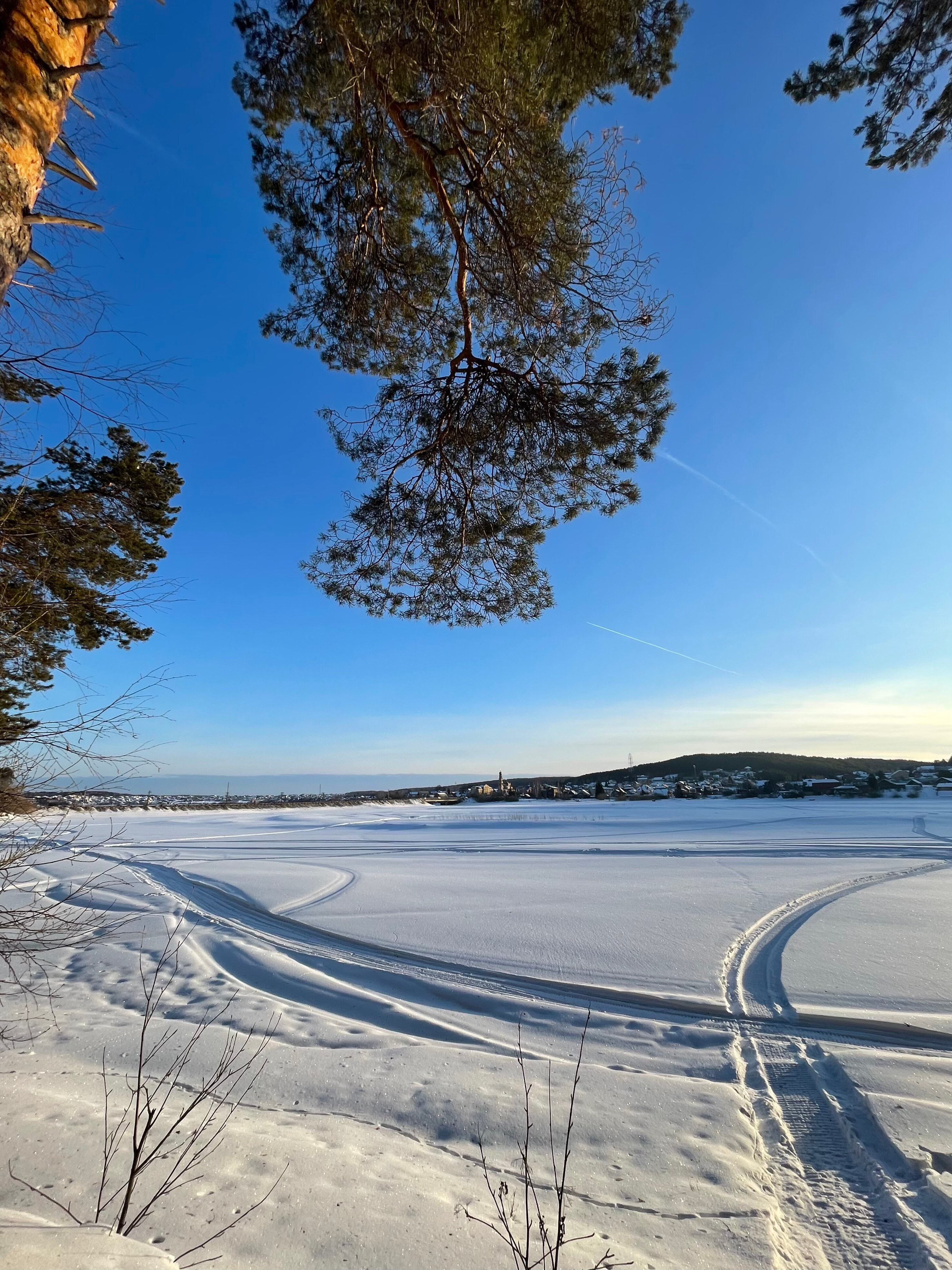 Фото Дача в соснах