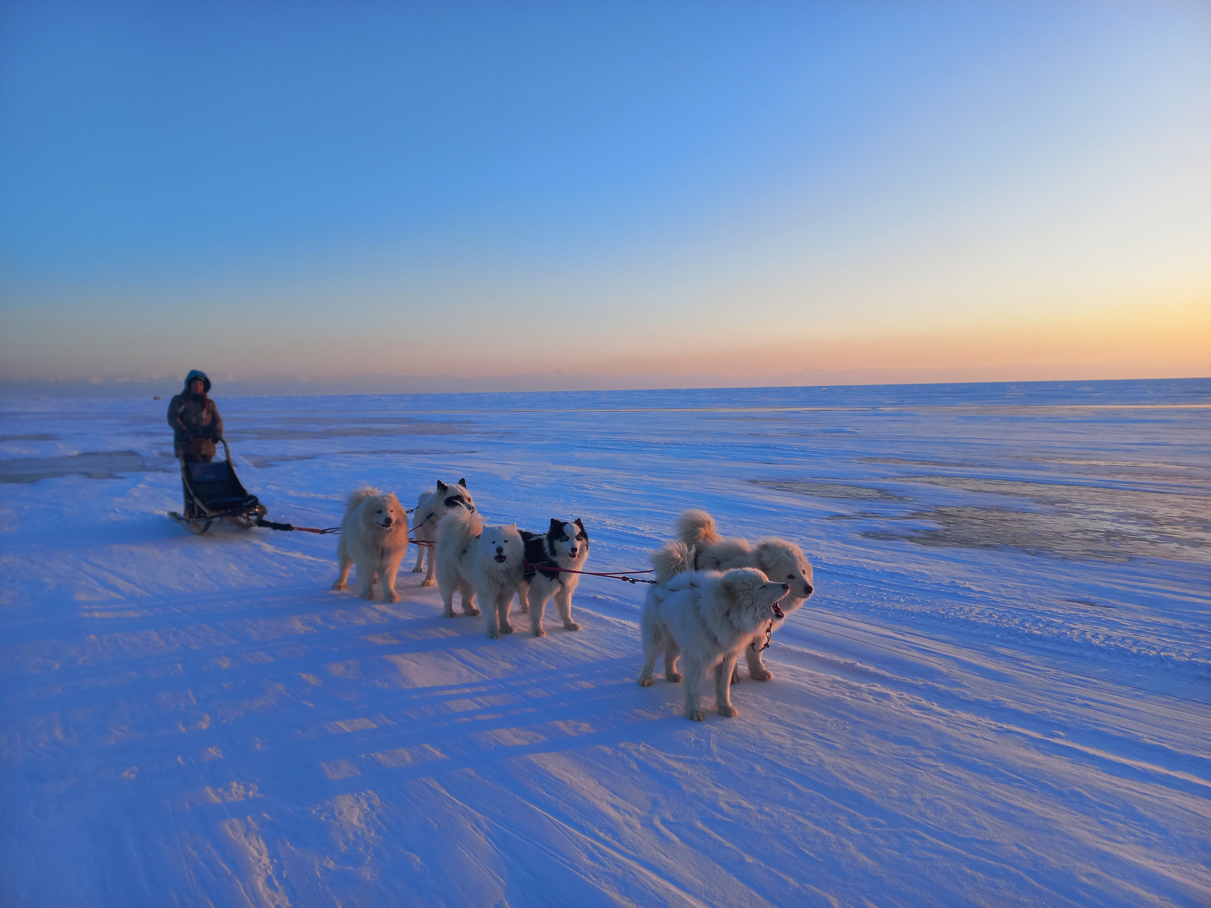 Фото Елисей