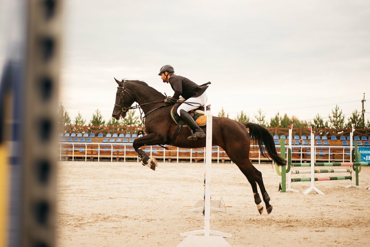 Фото Парк-отель История