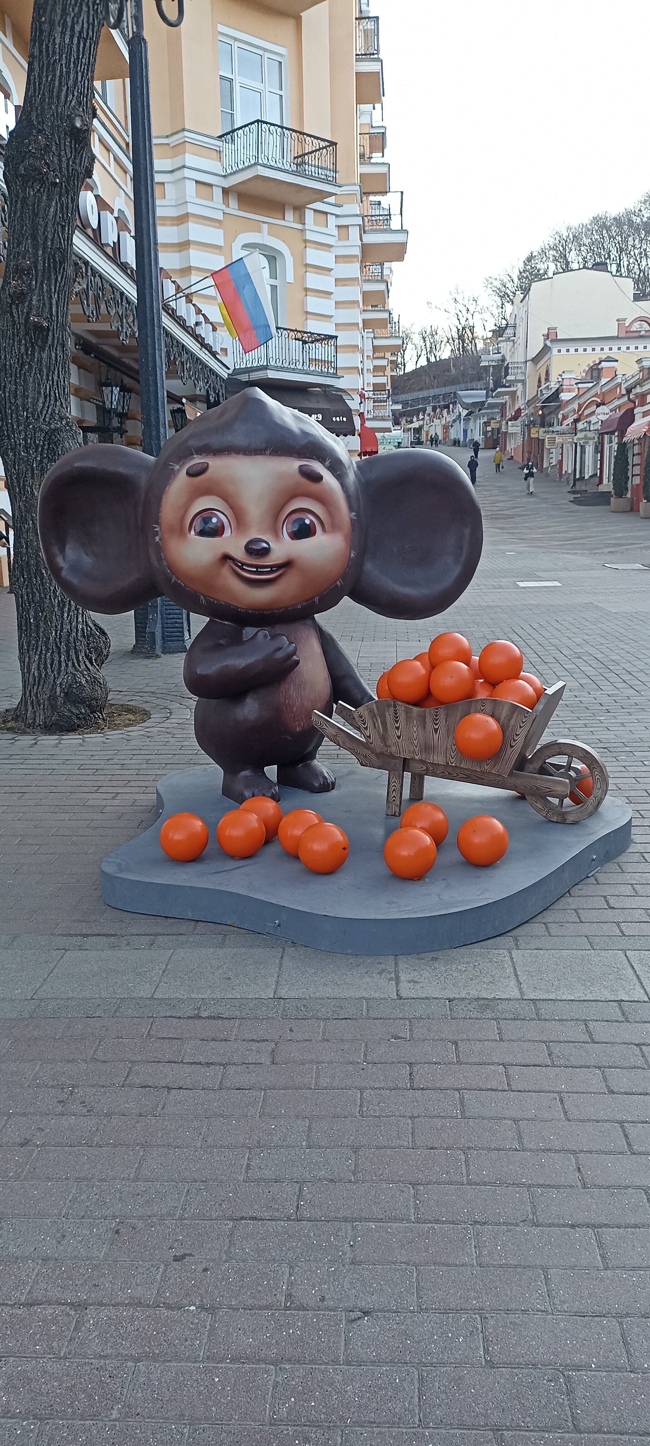 Фото Курортмед