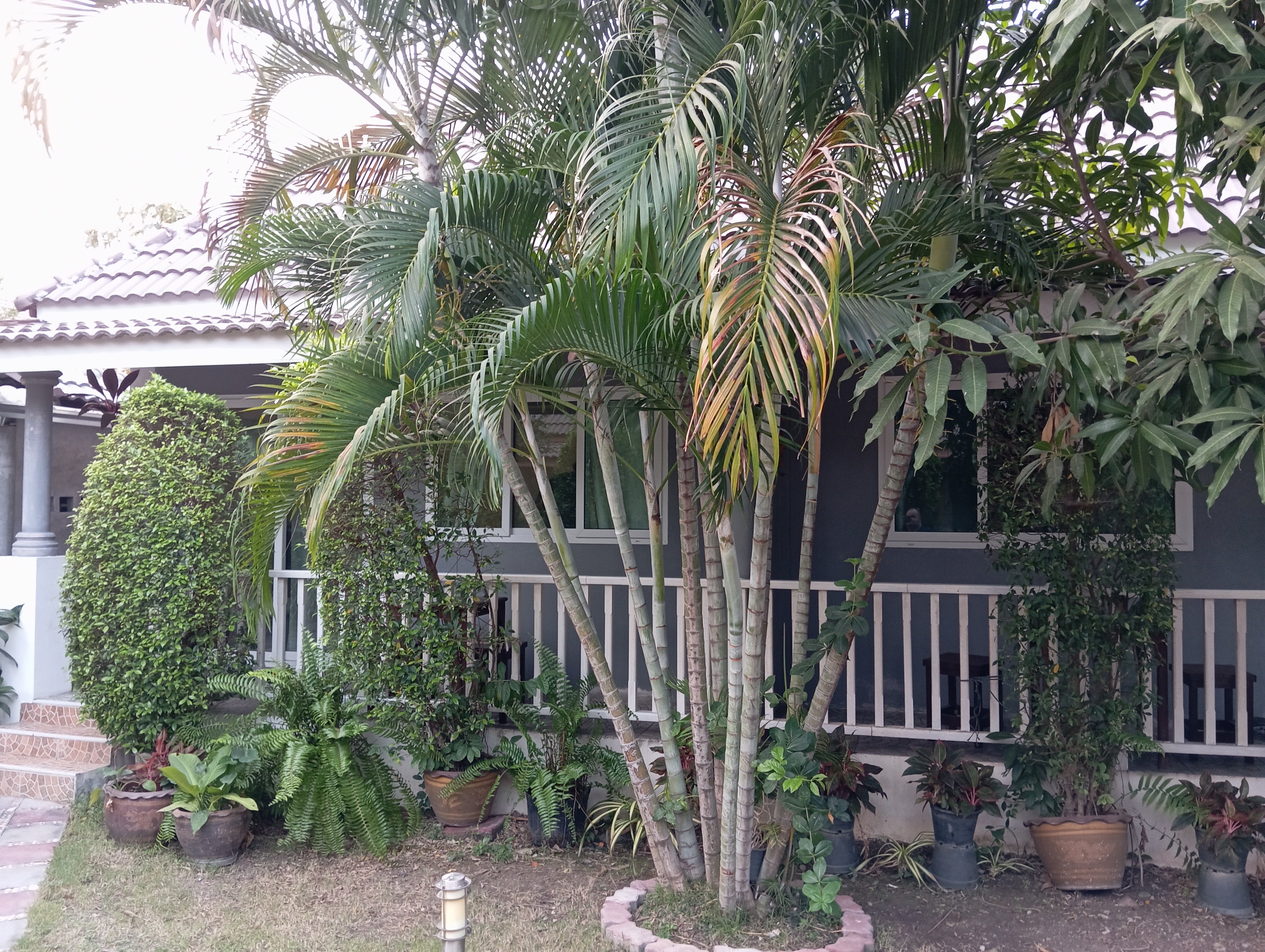 Фото Baan Penny