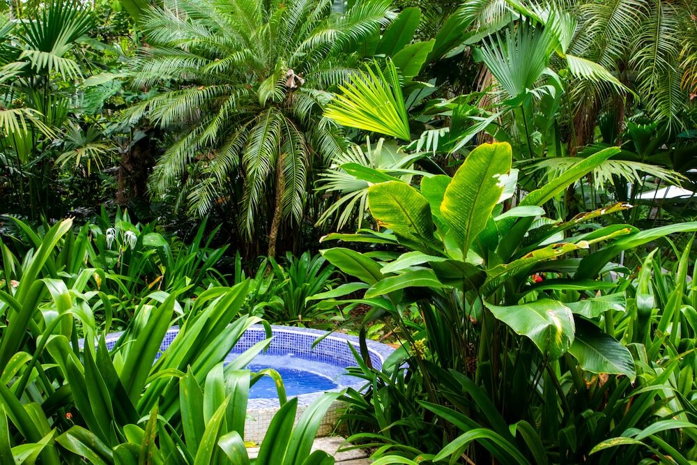 Фото Casa Cerise