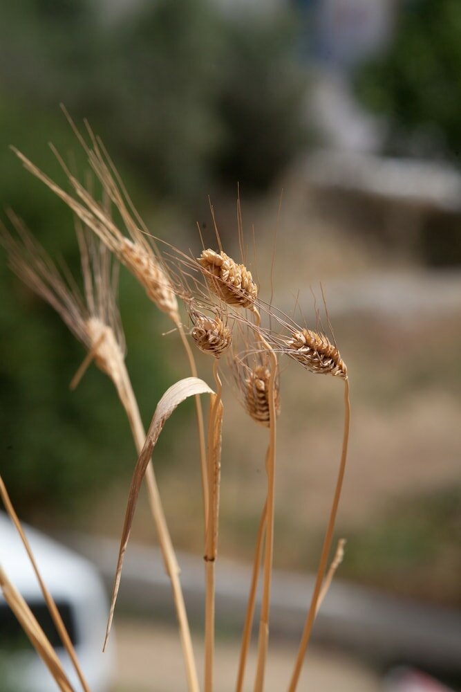 Фото Hot Tub Cottage Kalymnos