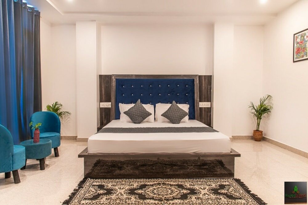 Фото The Cloud Berry