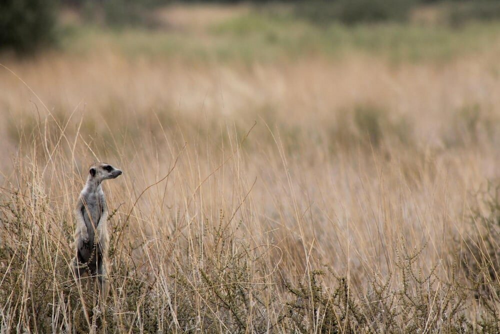 Фото Eldorado Lodge Cc