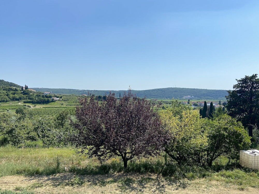 Фото Villa Olive Oasis