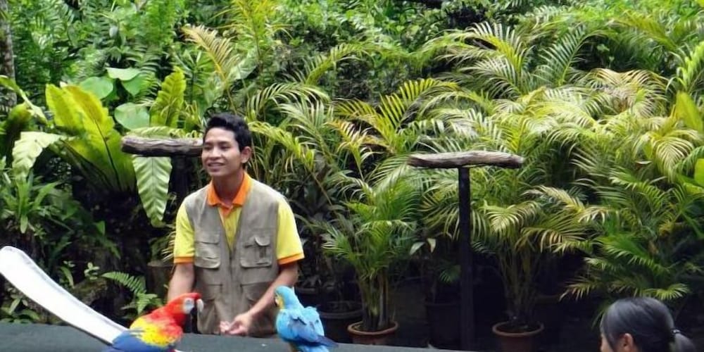 Фото Paradise Apartment at Taragon BktBintang 