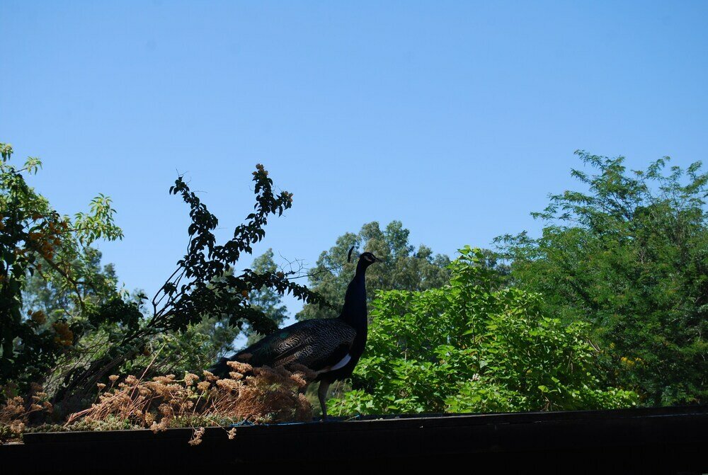 Фото Vivienda Rural el Retorno