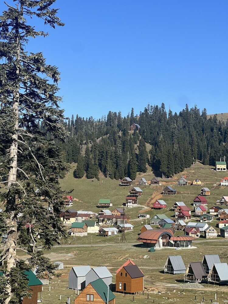 Фото Бахмаро