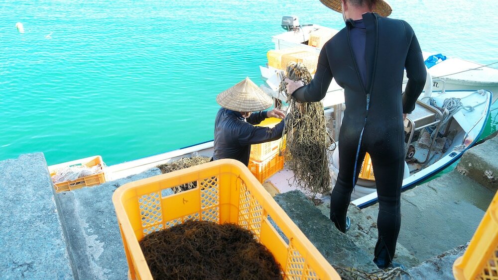 Фото Cozy Stay in Itoman