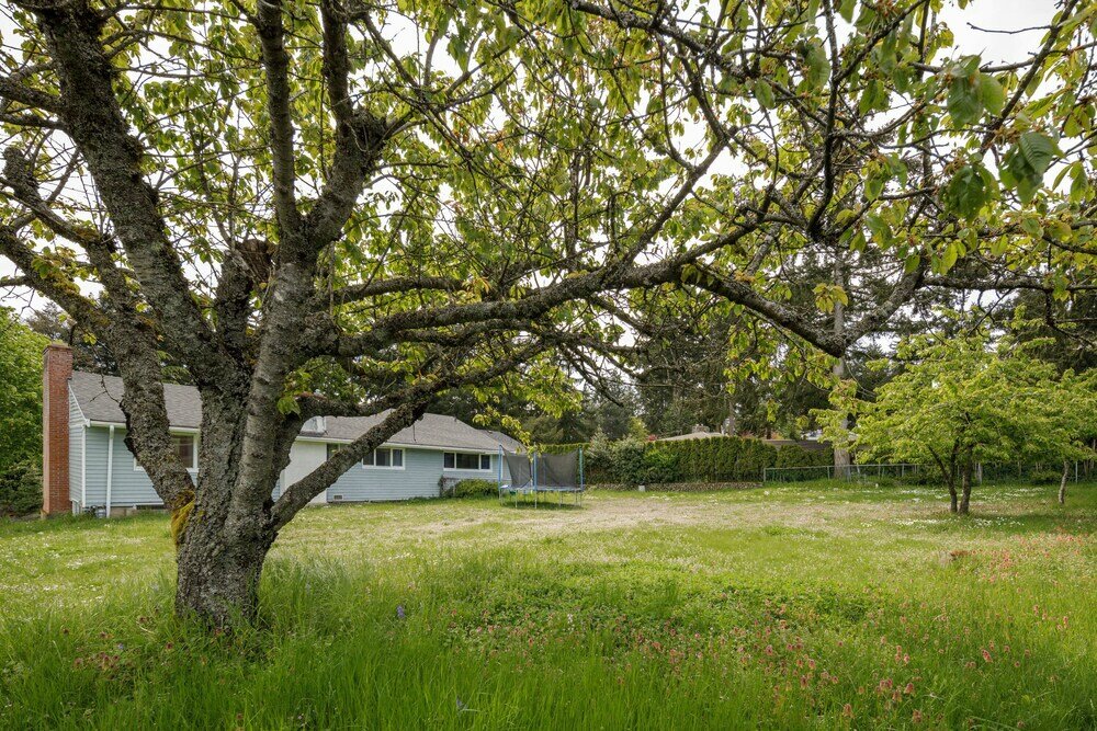 Фото 2555 Departure Bay