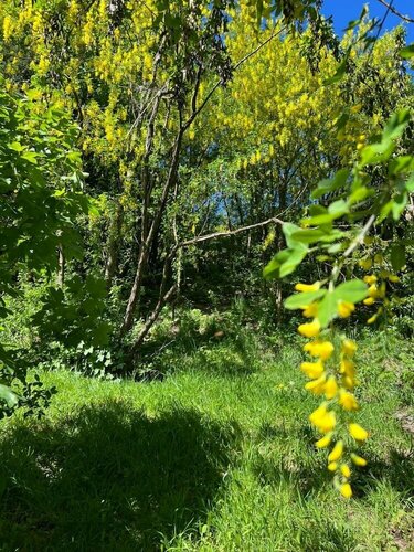 Гостиница Solar Selvana - Casas de montaña в Провинции Неукен