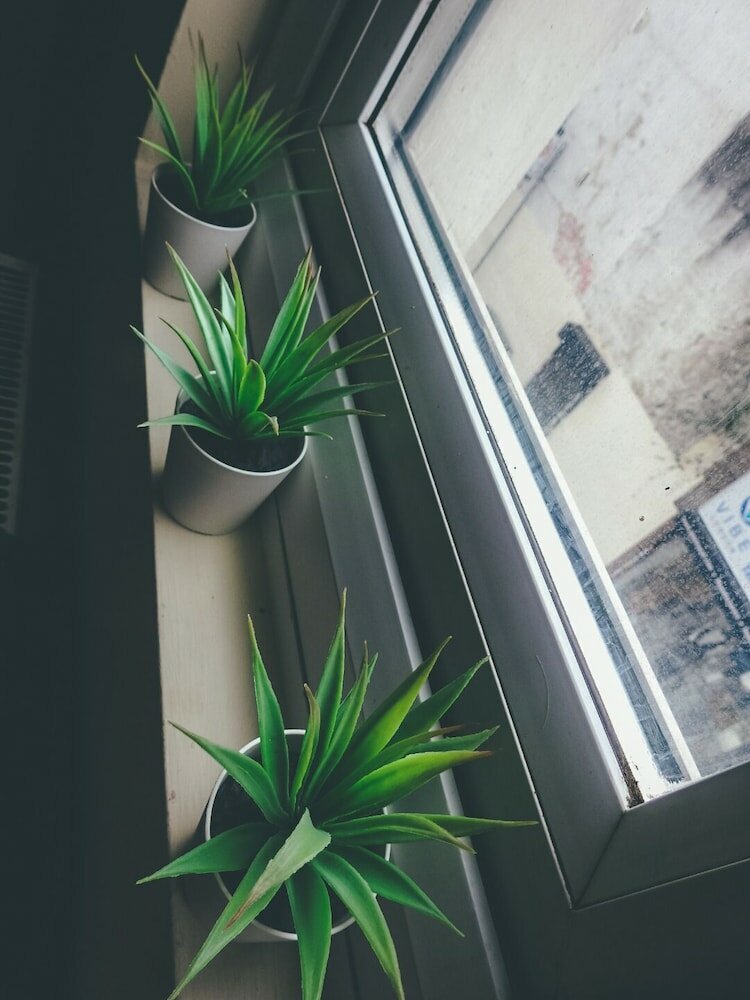 Фото Comfortable serviced flat in London City Centre