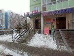 Нескучный Сад (Dmitriya Martynova Street, 25), flower shop