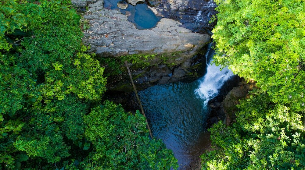Фото Gigi Brown Suites Puerto Viejo
