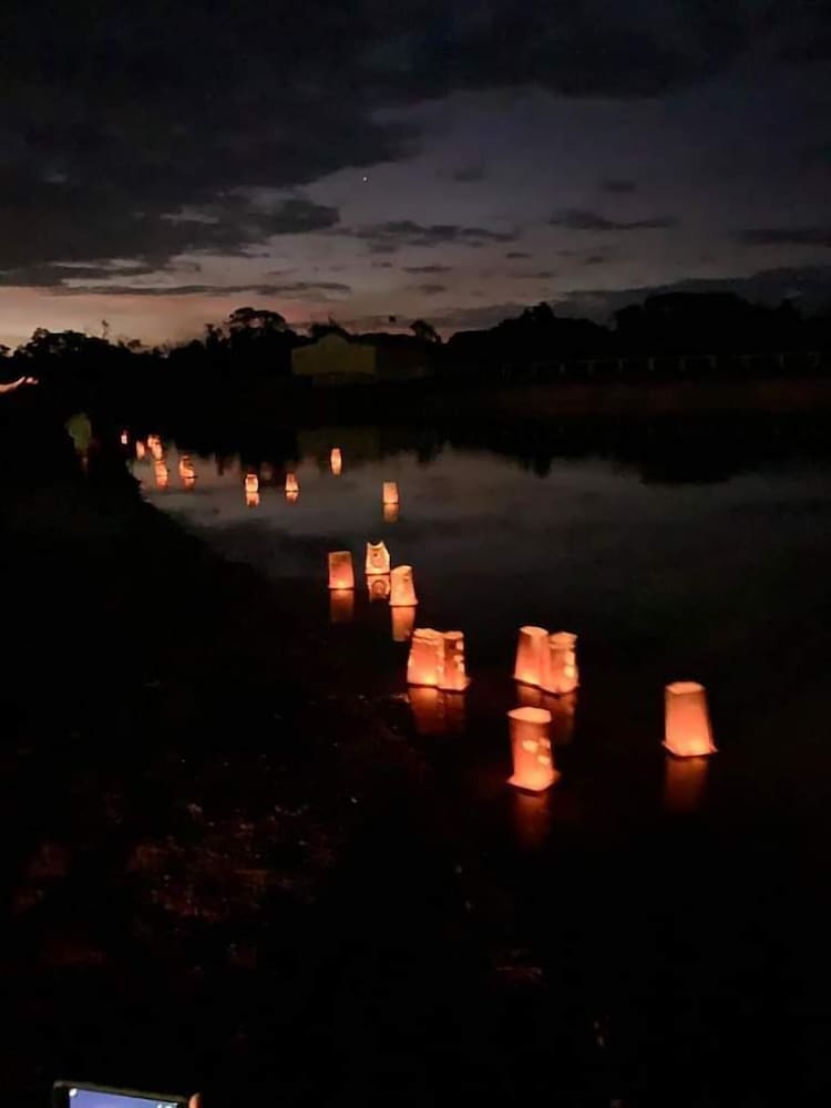 Фото Kur Cow farm