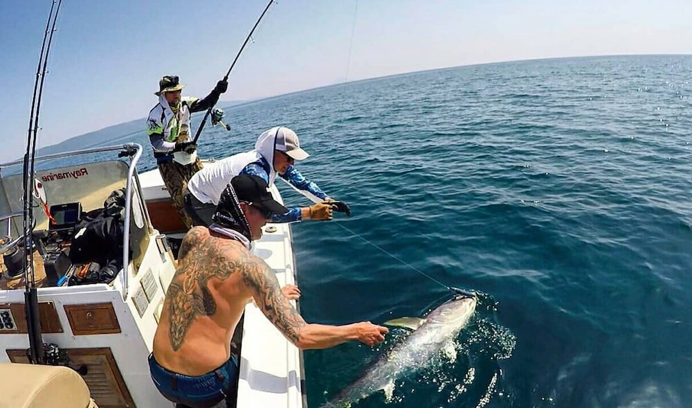 Фото Willa Trojka