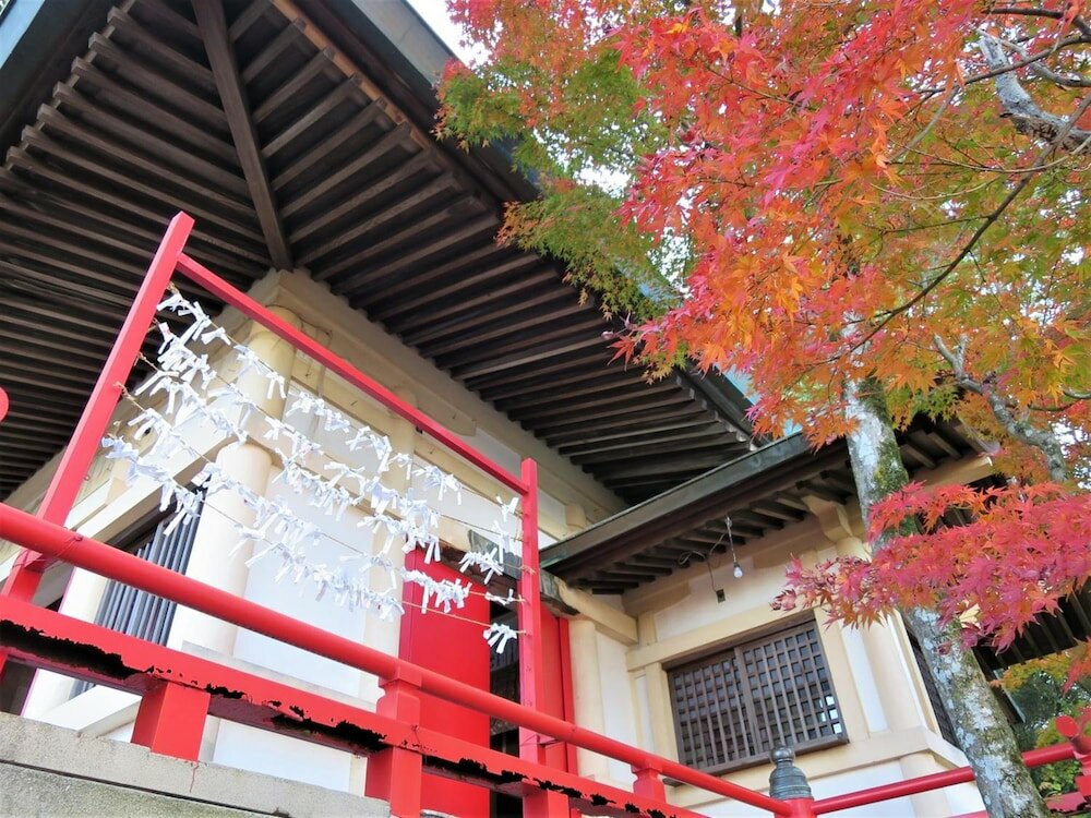 Фото Hostel Coliberty