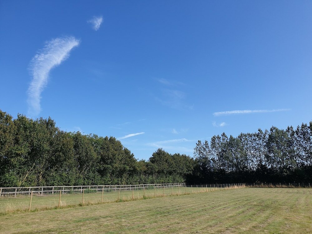 Фото Wingfield Escapes