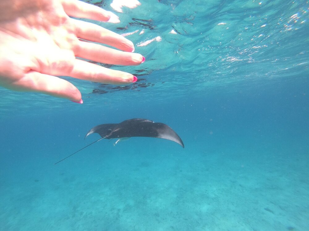 Фото Гостевой Дом Mahchavaru Maldivers