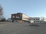 Калмавтовокзал (Привокзальная площадь, 1), автовокзал, автостанция в Элисте