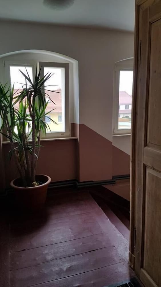 Фото Dresdner-Tag Hermann