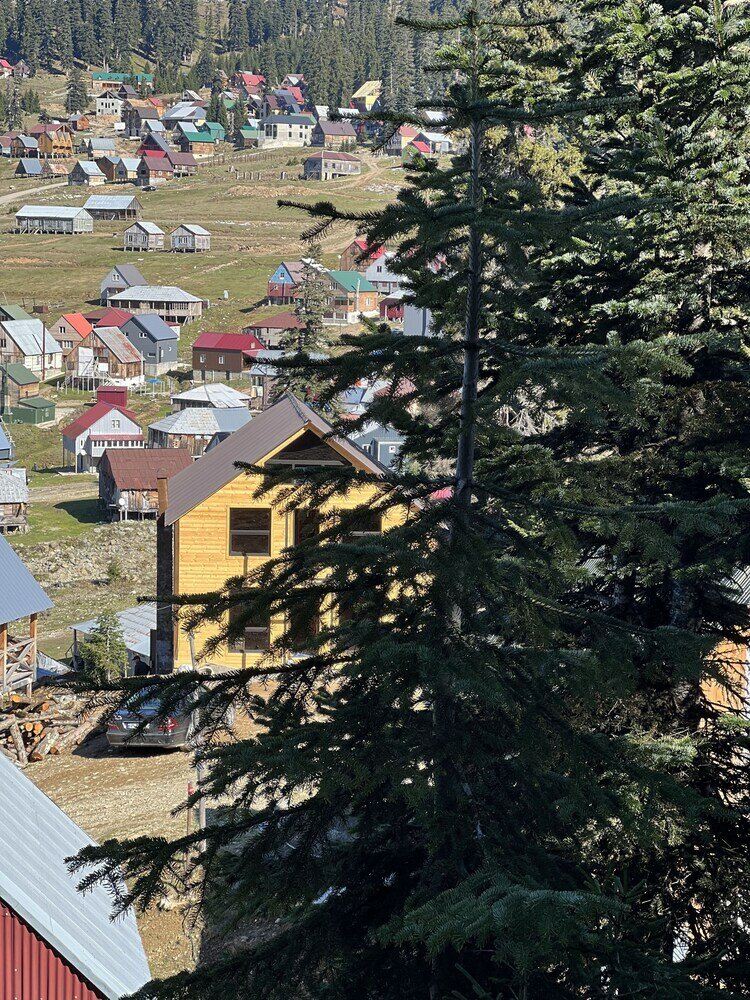 Фото Бахмаро