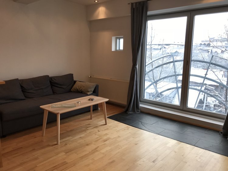 Фото Laugavegur Penthouse Apartment