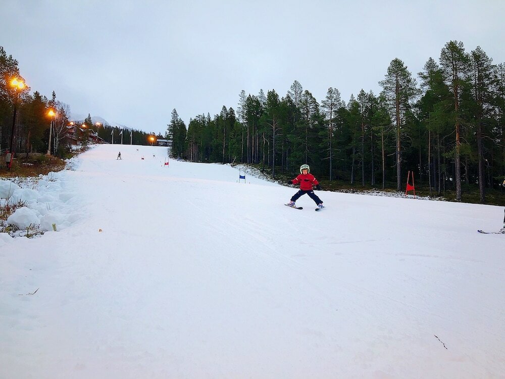 Фото Vildmarks Lodge