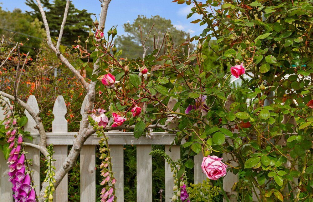 Фото Padaro Midcentury Beach & Garden