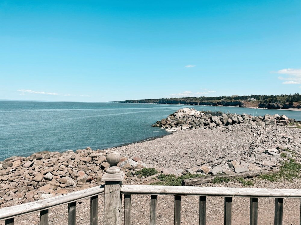 Фото Little Bird Inn