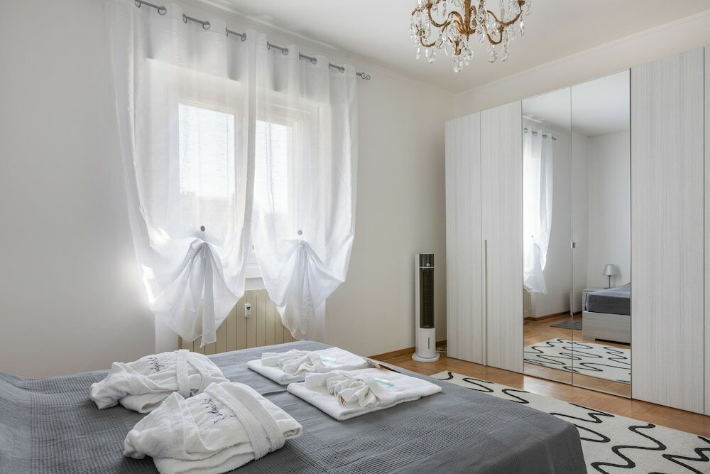 Фото The Black Swan