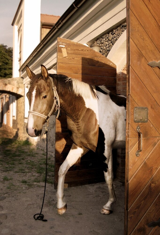 Фото Бутик-отель и поместье Pakruojis