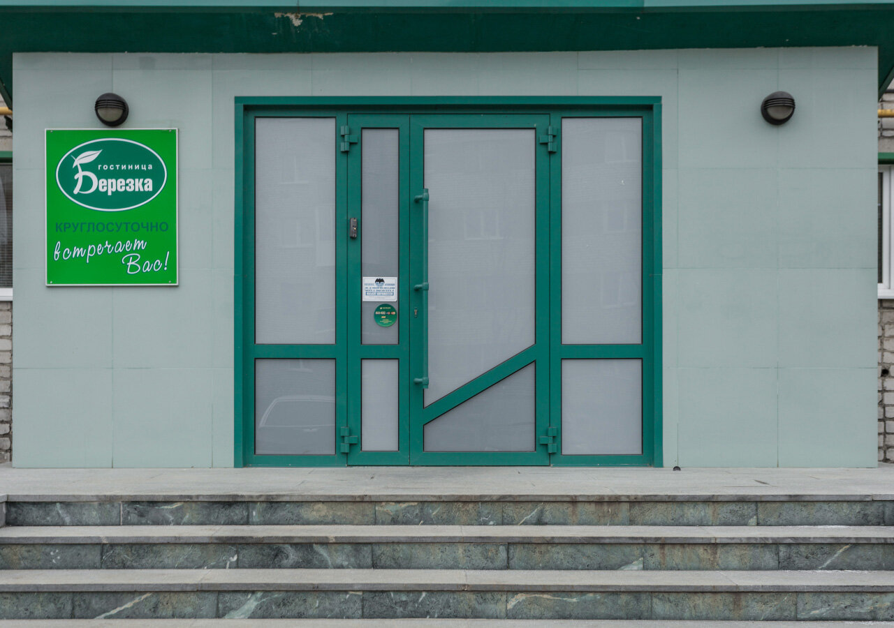 Фото Березка