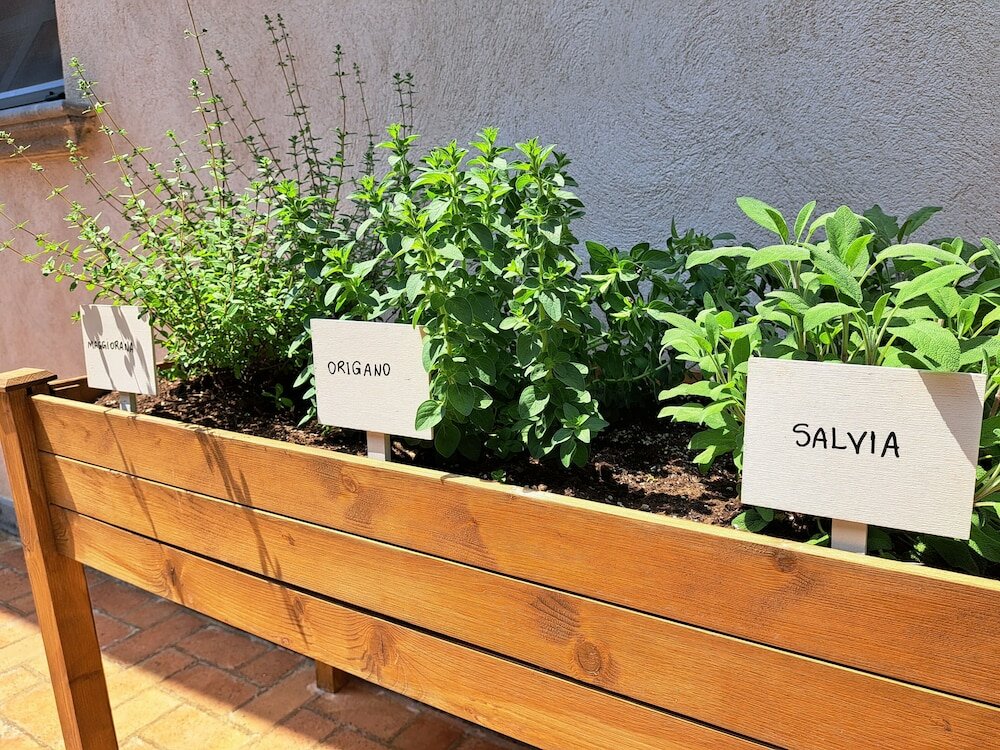 Фото Family Farm Soc. Agricola - Agriturismo