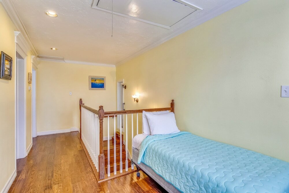 Фото The Turquoise Turtle