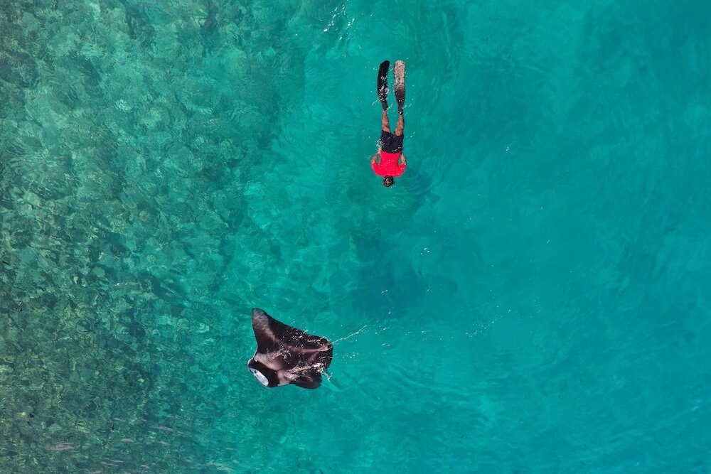 Фото Thundi village and SPA