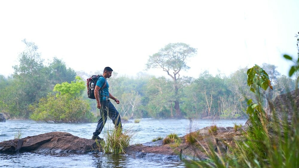 Фото Whistling Woodzs Resort