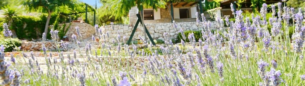 Фото Bay House Rosohotnica