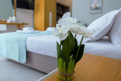 Гостиница Olea Garden Rooms