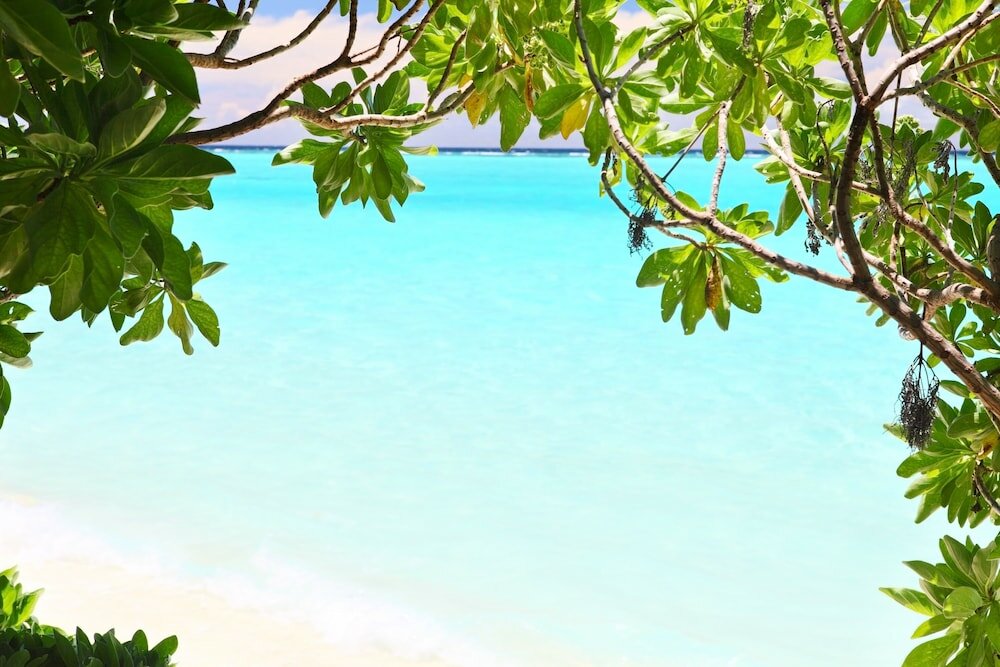 Фото Ahola Thoddoo