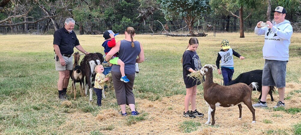 Фото Halls Haven Holiday Units