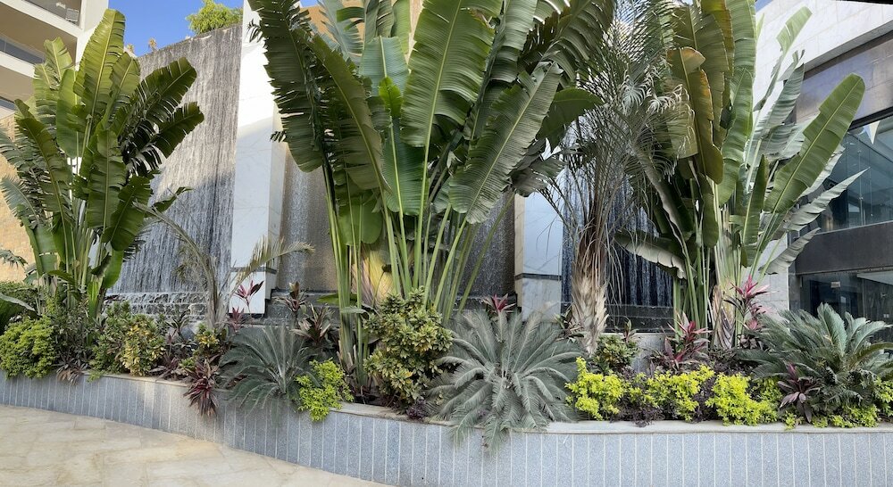 Фото Ocean Blue Studios