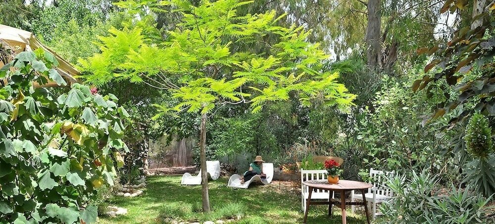 Фото Pina Balev Inn